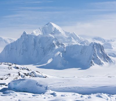 Image for Explore Antarctica with Edgewood Travel | Edgewood Travel