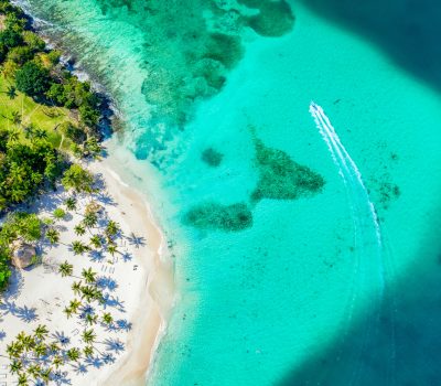 Image for Aerial drone view of beautiful caribbean tropical island Cayo Levantado beach with palms and boat. Bacardi Island, Dominican Republic. Vacation background.